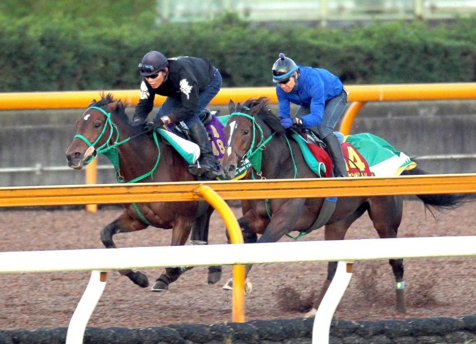 　秋初戦へラキシス（左）は栗東ＣＷで好調をアピール