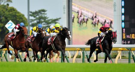 ディサイファ（左）イスラボニータ（中）の追撃を振り切って毎日王冠を制したエイシンヒカリ＝東京競馬場（撮影・田村亮介）