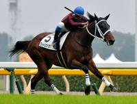 東京５Ｒメイクデビューを制したクィーンズベスト＝東京競馬場（撮影・田村亮介）