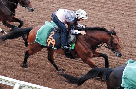 　古馬と互角の動きを披露したキングオブアームズ