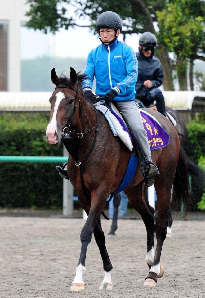 骨折が判明したショウナンアデラ