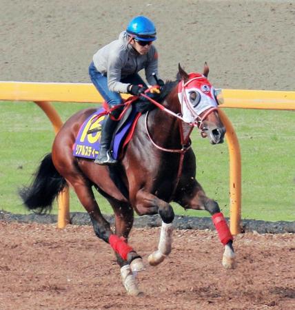 　リアルスティールは栗東ＣＷでシャープな伸びを見せた（撮影・石湯恒介）