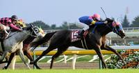 混戦から抜け出し府中牝馬Ｓを制したノボリディアーナ（右）＝東京競馬場（撮影・佐々木彰尚）