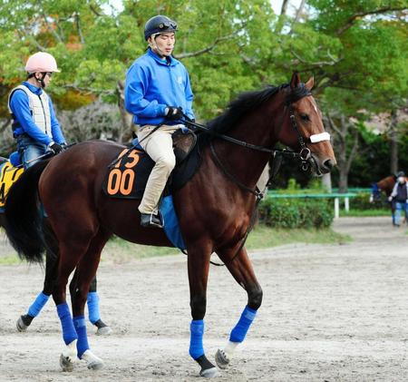 　国枝厩舎期待のディープ産駒ロジインパクト