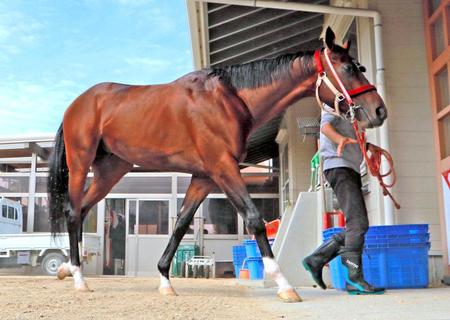 馬房に戻るリアルスティール