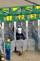 ゲート内で駐立するゴールドシップ＝栗東トレセン（撮影・石湯恒介）