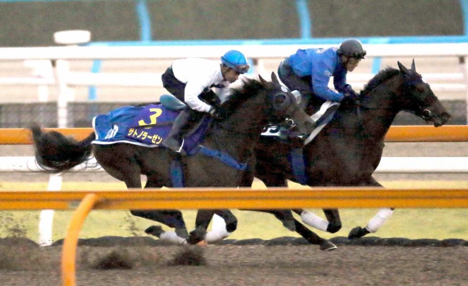 　栗東ＣＷで鋭く脚を伸ばしたサトノラーゼン（左）