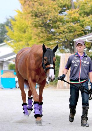 　関係者から最も支持を集めた上がり馬スティーグリッツ