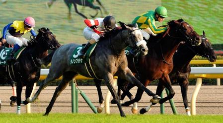 サトノアラジンとの叩き合いで富士Ｓを制したダノンプラチナ（中央）＝撮影・佐々木彰尚