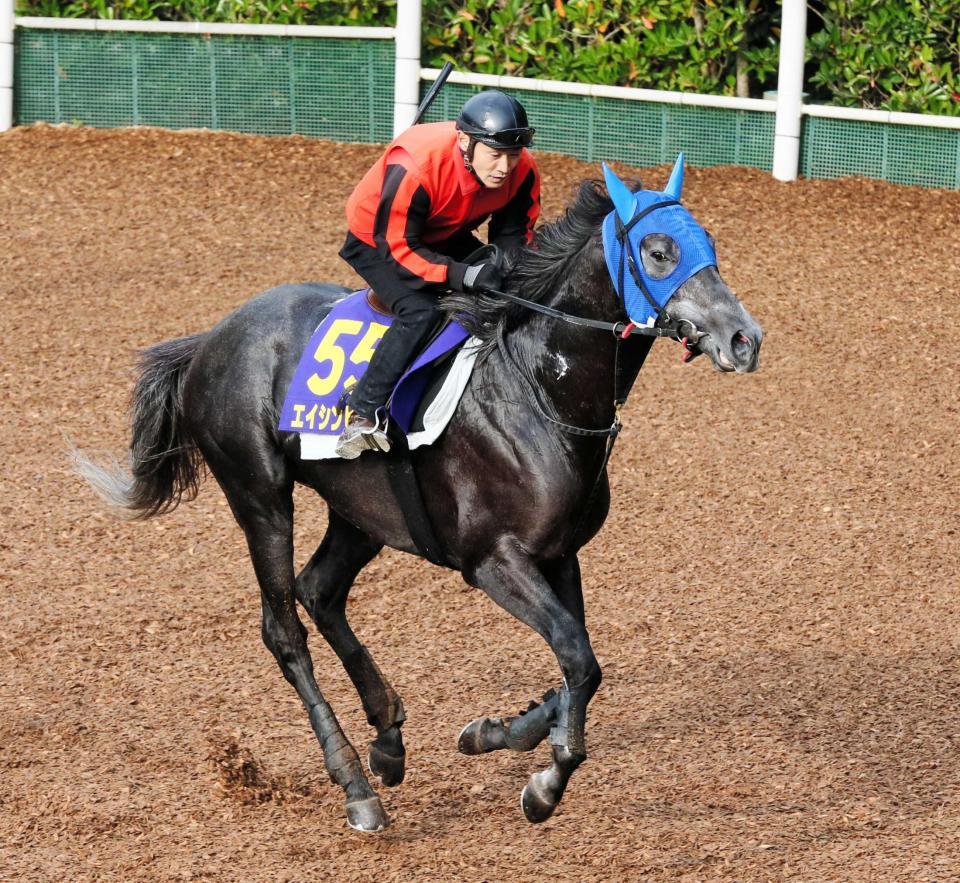 天皇賞 ヒカリ逃走ｖで偉業達成だ 競馬 レース デイリースポーツ Online