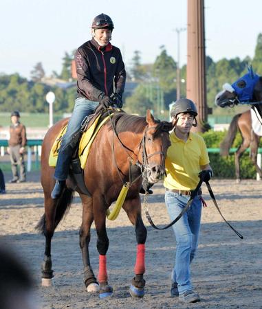 　目下の充実度が際立つディサイファがＧ１初制覇を目指す