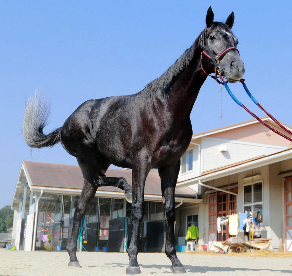 天皇賞 ヒカリ逃走ｖへ視界良好 競馬 レース デイリースポーツ Online