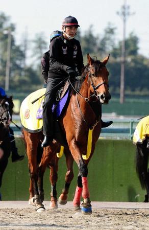 　ディサイファは追い切り後も絶好の気配をキープしている