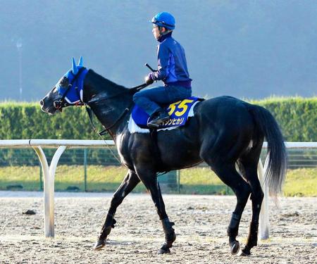 　逃げ切りＶへエイシンヒカリは好ムードをキープしている