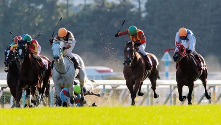 最後の直線で落馬した福永祐一、レースを制したのはアルビアーノ（右から２頭目）＝京都競馬場（撮影・石湯恒介）