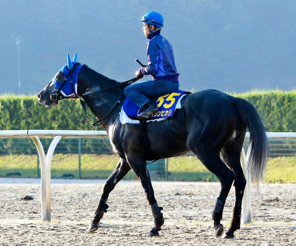 天皇賞 ヒカリ光速の逃げで歴史刻む 競馬 レース デイリースポーツ Online