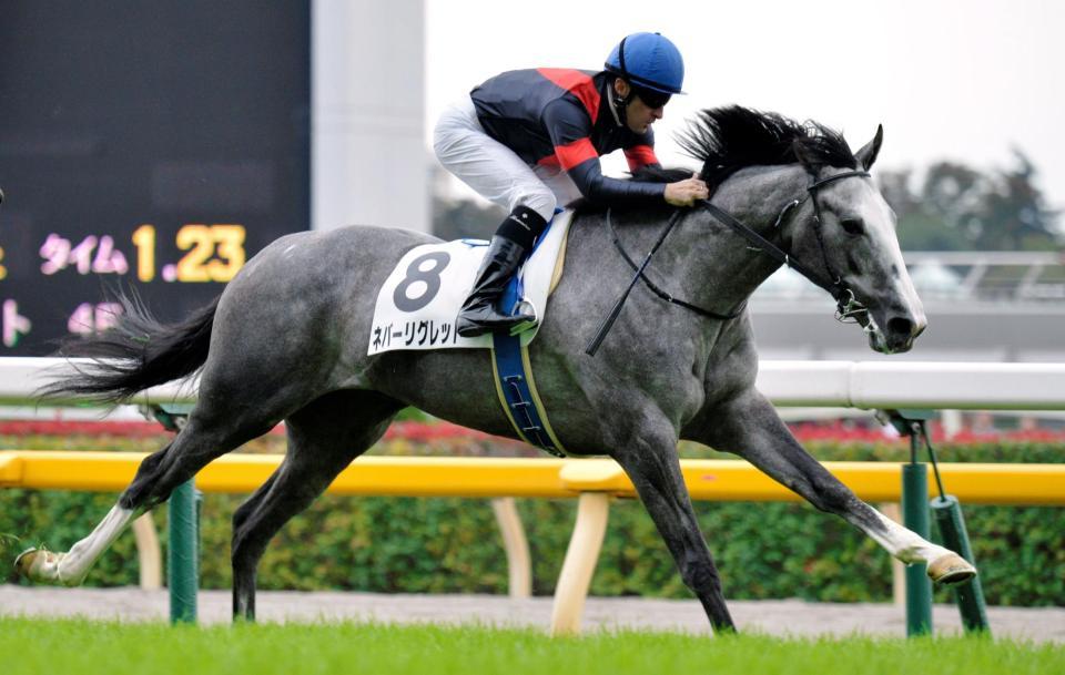 ５Ｒ、メイクデビューを制したネバーリグレット＝東京競馬場