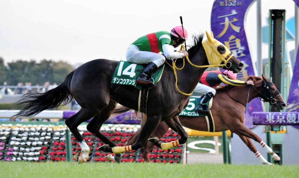 メジャーエンブレム（奥）をクビ差かわしてアルテミスＳを制したデンコウアンジュ＝東京競馬場（撮影・田村亮介）