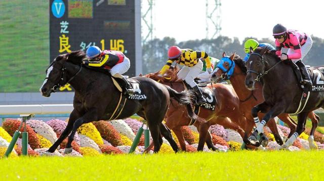 【萩Ｓ】ブラックスピネル快勝