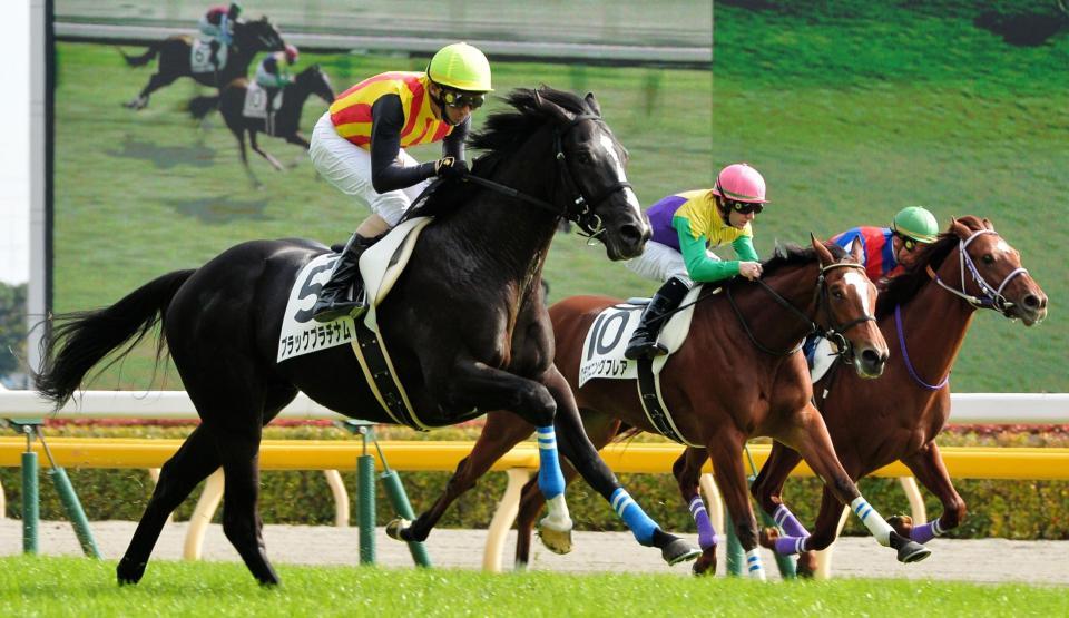 東京５Ｒ新馬戦を制したブラックプラチナム＝東京競馬場（撮影・佐々木彰尚）
