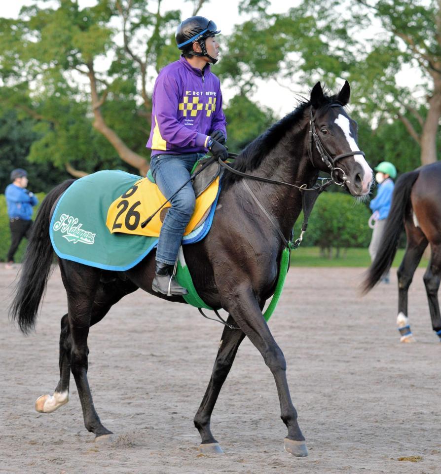 　父スクリーンヒーローと同じく４歳での飛躍を期すゴールドアクター