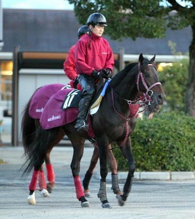 　デビューへ向けて調整する超良血馬ロイカバード