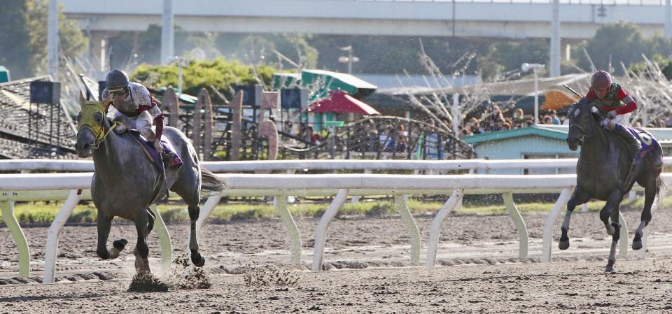 　サンビスタ（右）を突き放すホワイトフーガ