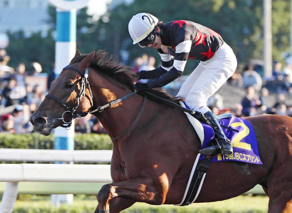 　見事に逃げ切ったコーリンベリー