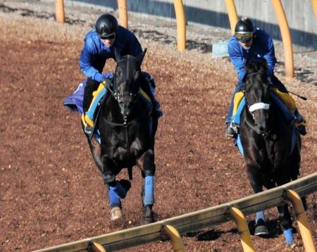 　　美浦Ｗのヒラボクディープ（左）は久々を感じさせない動き