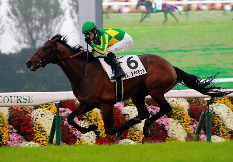 注目の５億円対決を制したのはサトノダイヤモンド＝京都競馬場（撮影・石湯恒介）