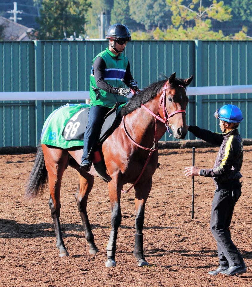 　無傷３連勝中の素質馬シュウジ