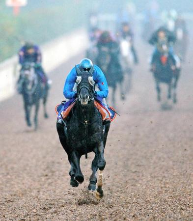 　栗東坂路でいい意味の“荒々しさ”を見せたフィエロ