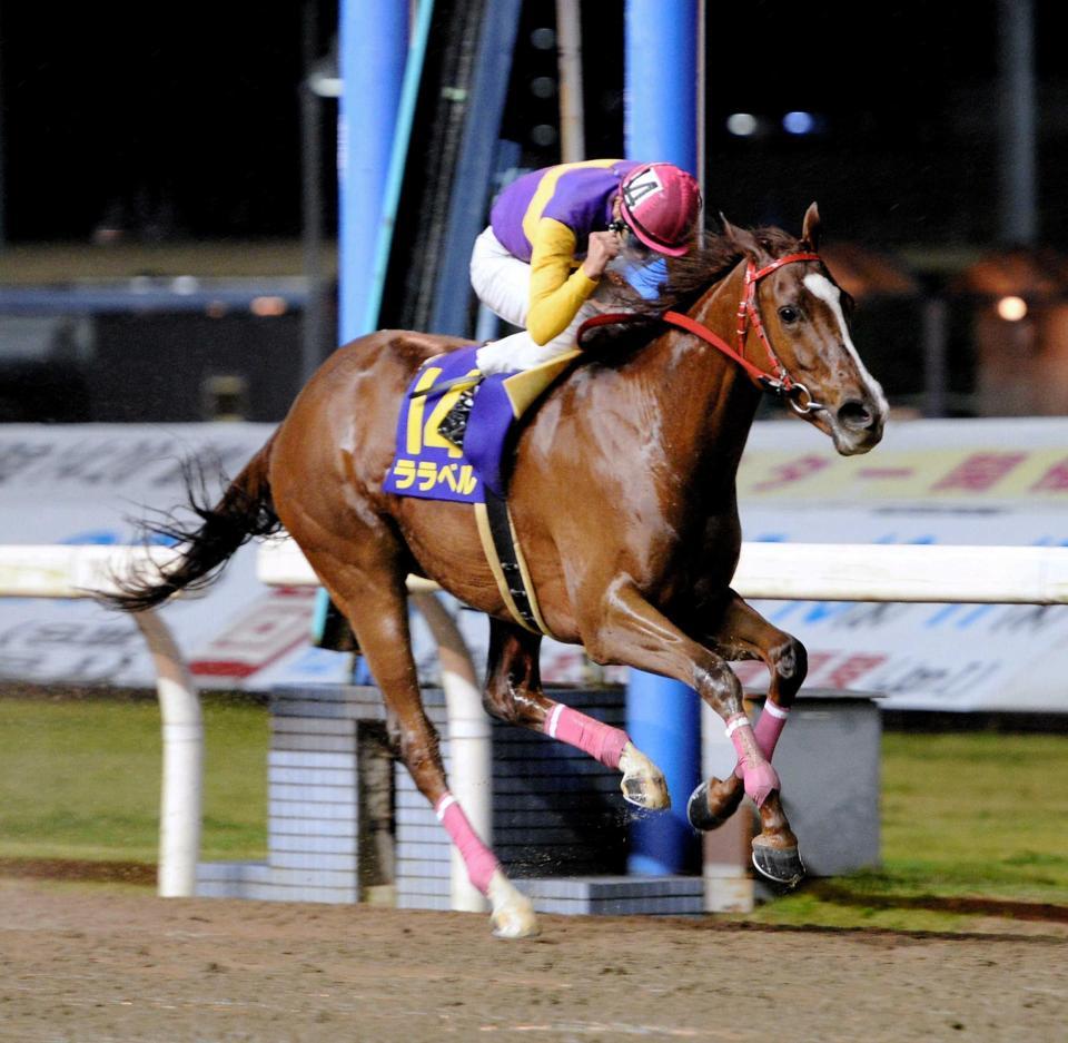 　鮮やかな手綱さばきララベルを勝利に導き、鞍上でガッツポーズを決める真島大