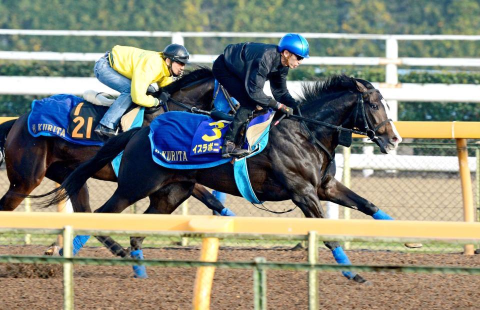 　イスラボニータ（手前）は蛯名を背に美浦Ｗで軽快な動きを披露