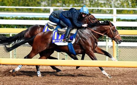 　モーリス（手前）は美浦Ｗで僚馬リアルインパクトと併せて軽快な走りを披露