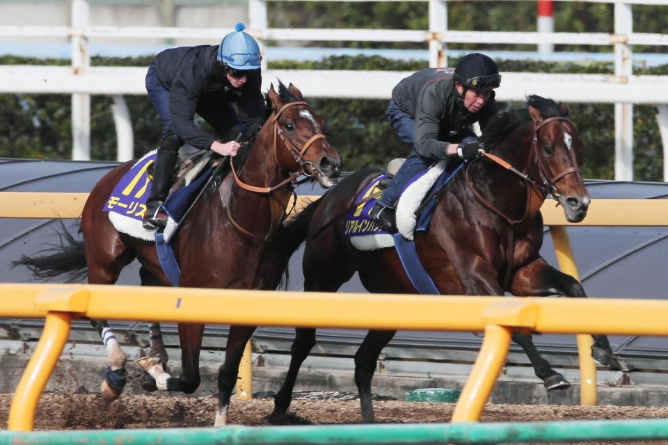  モーリス（左）と併せて追われるリアルインパクト