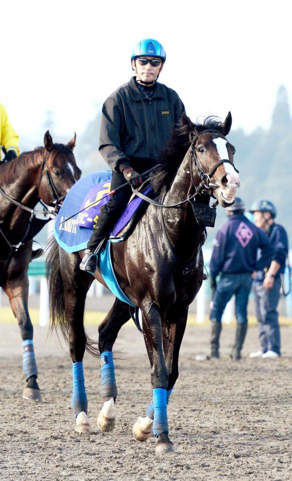 　Ｇ１・２勝目を目指すイスラボニータ