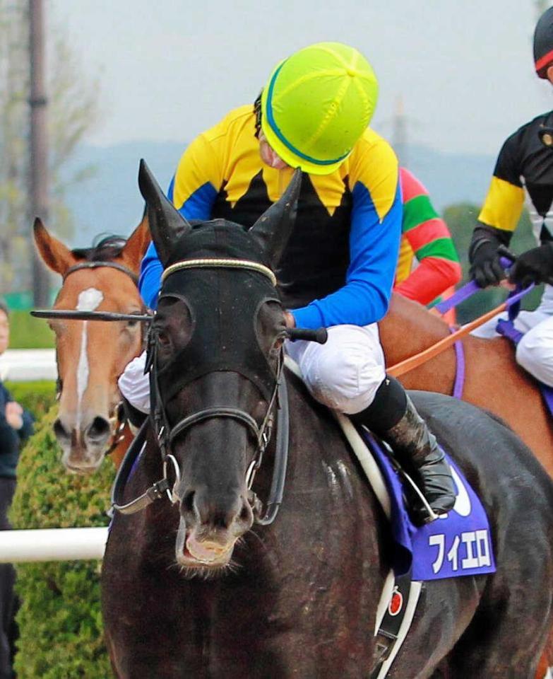 　２着に敗れたフィエロとうなだれるＭ・デムーロ