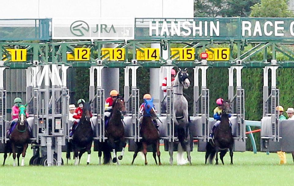 　ゲート内で立ち上がり出遅れたゴールドシップ（右から２頭目）