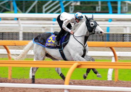 　横山典を背に栗東ＣＷで躍動したゴールドシップ
