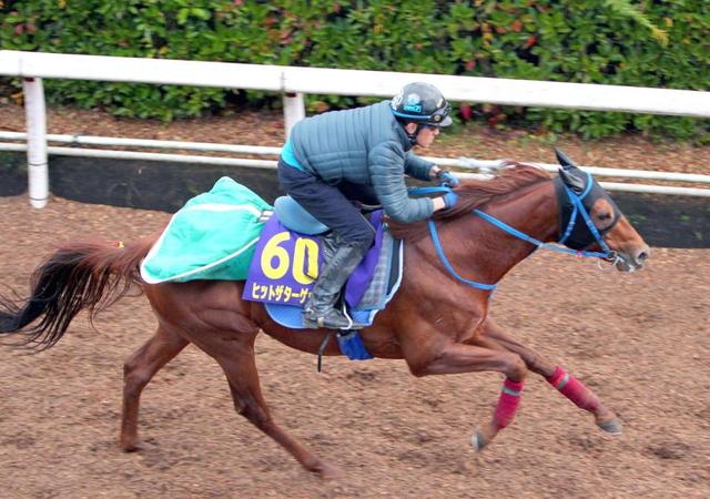 【ＪＣ】ターゲット坂路でビッシリ