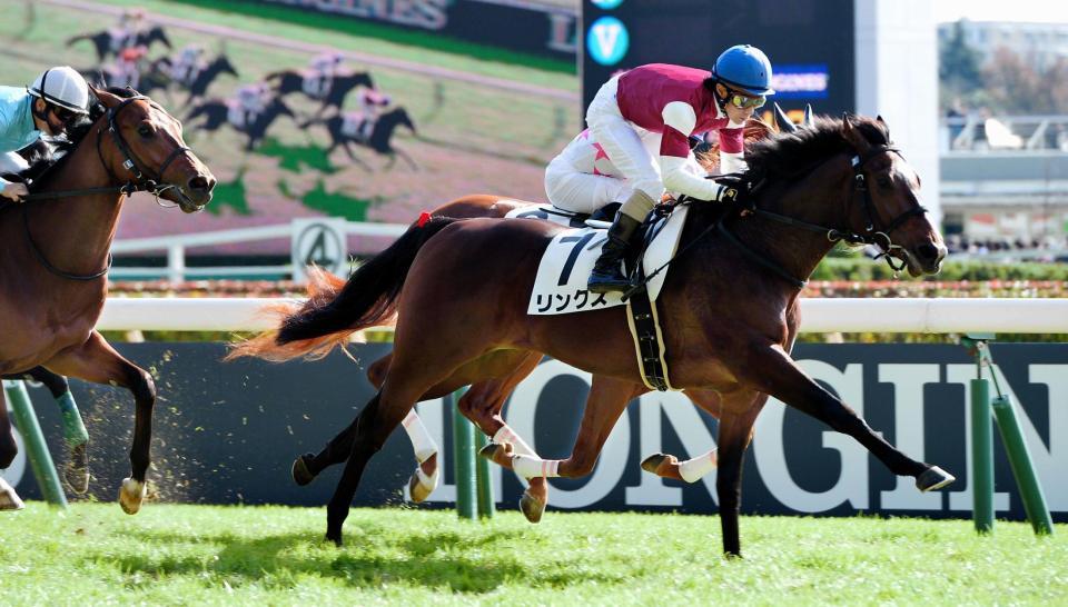 東京４Ｒ新馬戦、直線鋭く抜け出したリンクス＝東京競馬場（撮影・佐々木彰尚）