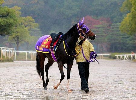 　１週前追い切りで不安を残したウインミレーユ