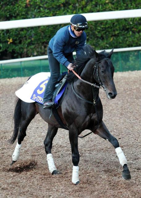 【ＣＣ】ブランデー仕上がりに自信