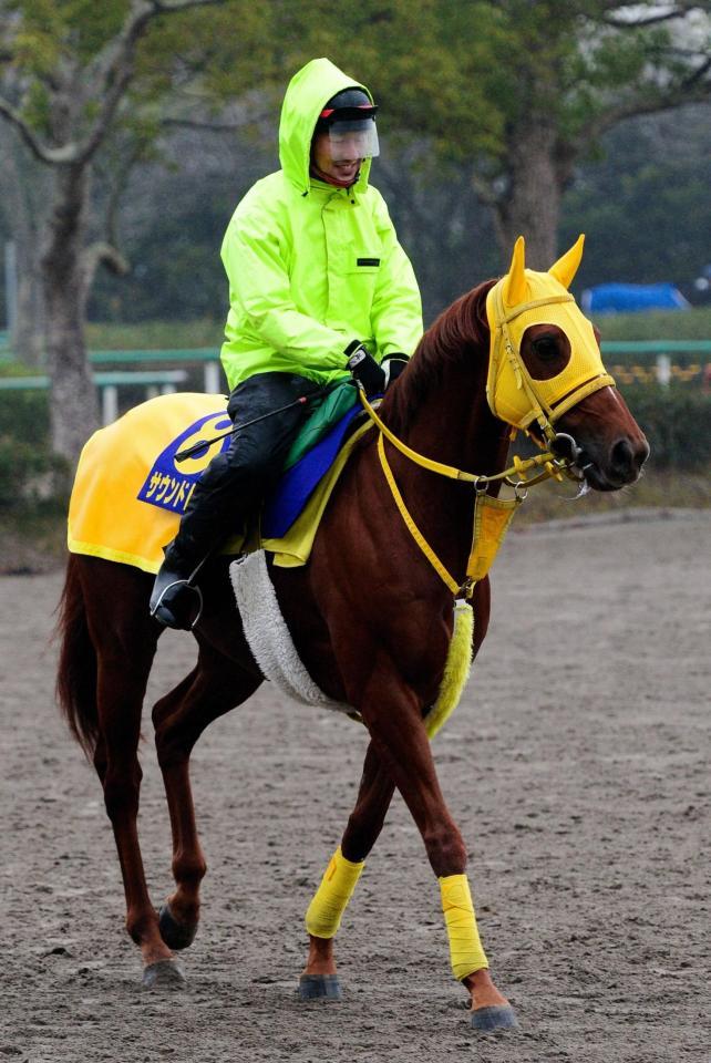 　大物食いを狙うサウンドトゥルー