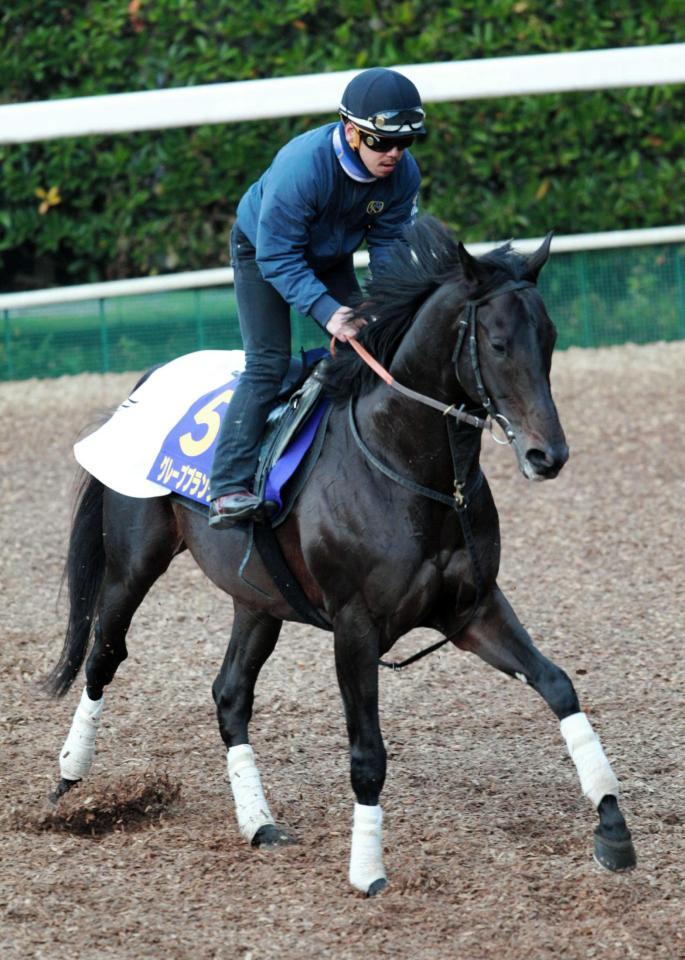 　名手ムーアの手綱でグレープブランデーが復活Ｖを描く