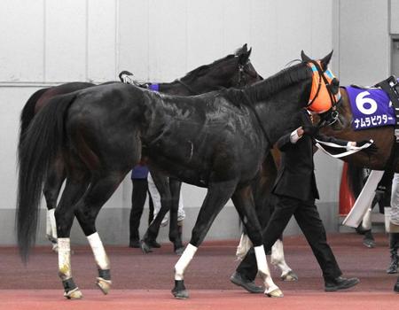 　連覇を逃したホッコータルマエ