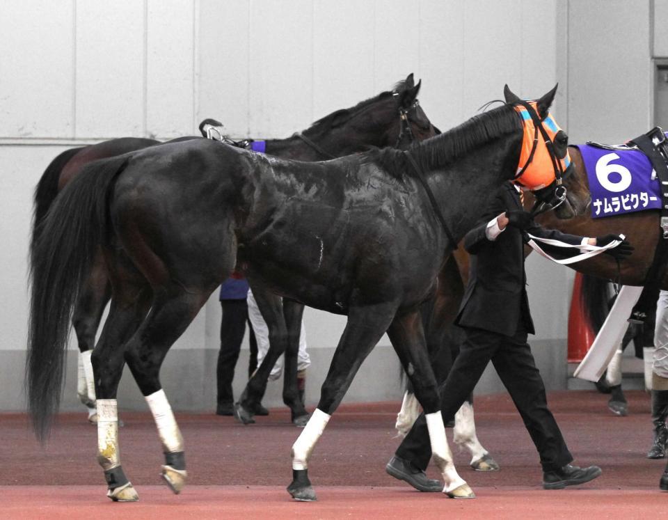 　連覇を逃したホッコータルマエ