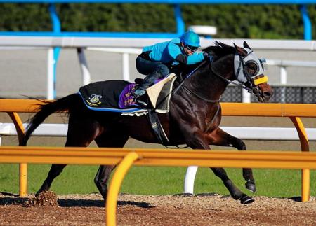 　菊花賞馬キタサンブラックは栗東ＣＷで好時計をマークした