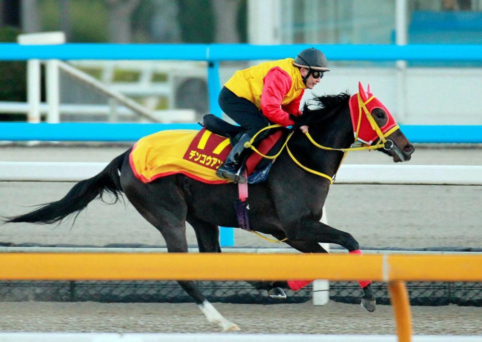 　栗東ＤＰの併走追いで先着したデンコウアンジュ